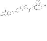 Etarfolatide image 1