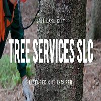 Tree Services SLC image 1