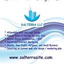 Salterra Web Design of Maricopa logo