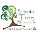 Palmetto Tree Service logo