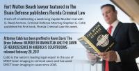 Florida Criminal Defense Legal Group, PLLC image 2