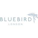 Bluebird London NYC	 logo