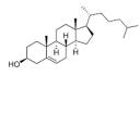 cholesterol conjugated sirna logo