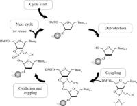 sirna reagent image 1