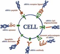 rnai delivery methods image 1