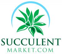 Succulent Market image 1