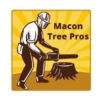 Macon Tree Pro Service image 3