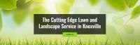 The Cutting Edge Lawn and Landscaping image 2