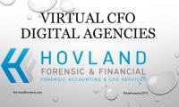 Hovland Forensic & Financial image 1