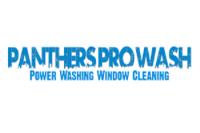 Panthers Pro Wash image 1