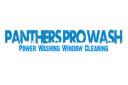 Panthers Pro Wash logo