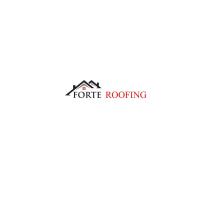 Forte Roofing image 1
