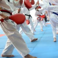 KIMS KARATE / Martial Arts Training Center image 3