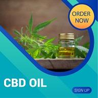 CBD Sold Oils image 2