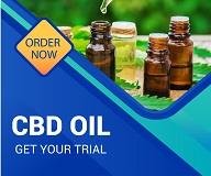 CBD Sold Oils image 4