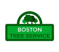 Boston Tree Service image 1