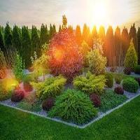 Lawn and Landscaping Pros, St. Pete, FL image 3
