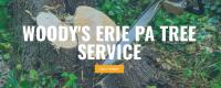 Woody's Erie Pa Tree Service image 1