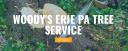 Woody's Erie Pa Tree Service logo