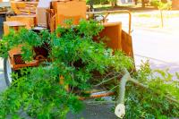 Woody's Erie Pa Tree Service image 2