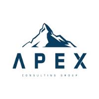 Apex Consulting Group image 1