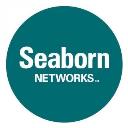Seaborn Networks logo