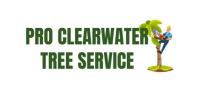 Pro Clearwater Tree Service image 1