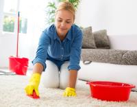 Uri Shemony's Carpet Cleaning image 1