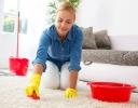 Uri Shemony's Carpet Cleaning logo