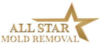 All Star Mold Removal Chicago image 1
