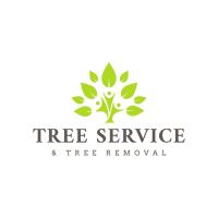 Xpress Tree Service and Removal of Arlington image 1