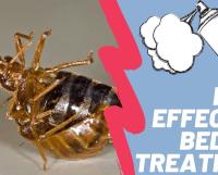 Georgia Bedbug Solutions image 1