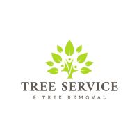 Xpress Tree Service and Removal of Kent image 1