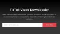 TikTok Video Downloader image 1