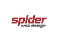 Spider Web Design image 1