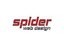 Spider Web Design logo