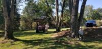 Rone Lawn Care and Landscaping, LLC image 1