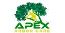 Apex Arbor Care logo