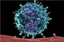 Cytomegalovirus Antigens logo