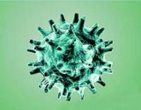 Coronavirus Antigens image 1
