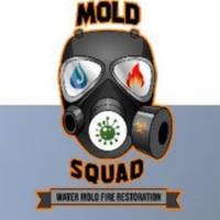 Mold Squad image 1