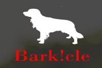 BarkCLE image 4