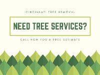 Cincinnati Tree Removal image 1