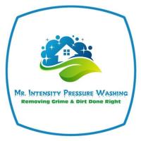 Mr Intensity Pressure Washing image 2