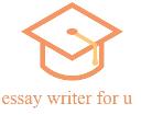 EssayWriter4U logo