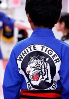White Tiger Tae Kwon Do image 8