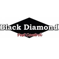 Black Diamond Pest Control image 1