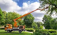 Tree Removal Louisville KY image 5