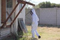 Varsity Termite and Pest Control Gilbert image 6