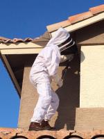 Varsity Termite and Pest Control Gilbert image 3